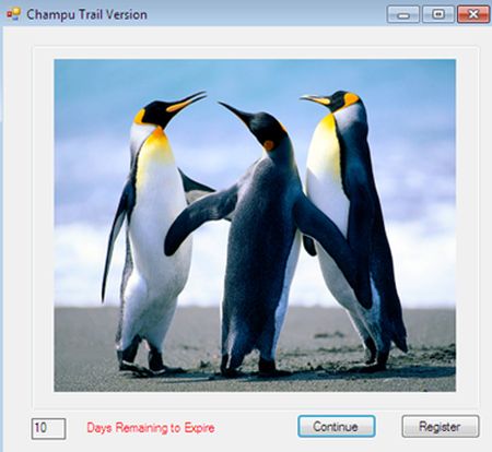 champu trail version